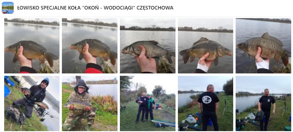 Łowisko Okoń Janówek - opinie na forum, na co łowić, ryby, regulamin, cennik (1)