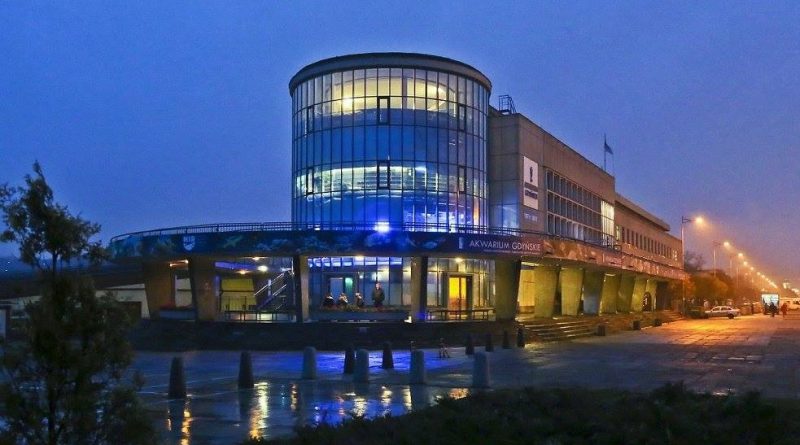 Akwarium Gdynia - opinie, ile trwa zwiedzanie, ceny biletów, bezpłatny parking (1)