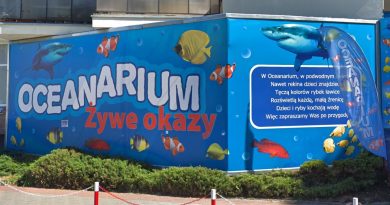 Oceanarium Kołobrzeg atrakcja - opinie na forum, parking, ceny biletów, czy warto