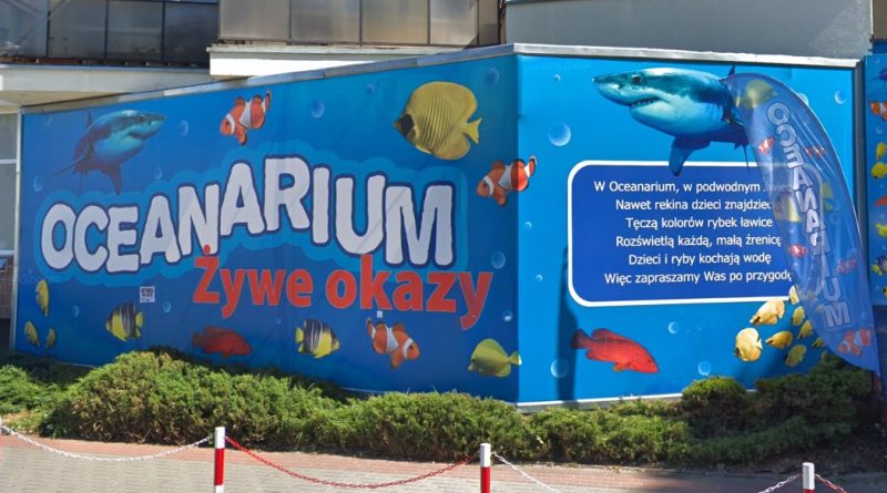 Oceanarium Kołobrzeg atrakcja - opinie na forum, parking, ceny biletów, czy warto