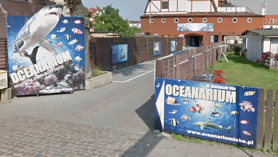 Oceanarium Łeba - opinie na forum, cennik, godziny otwarcia, parking, czy warto (1)