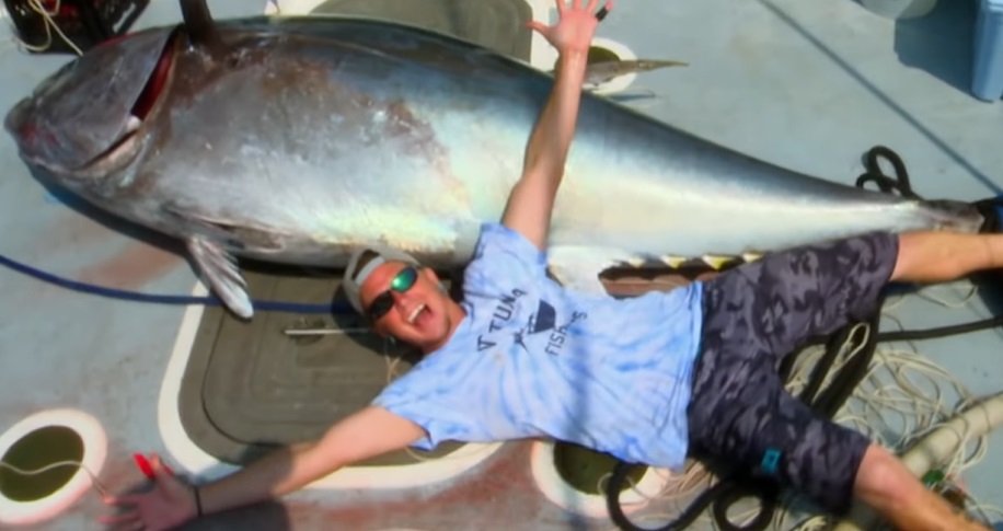 Tuńczyk błękitnopłetwy - co to za ryba, występowanie, dlaczego taki drogi, zagrożony, gdzie kupić, cena za kg