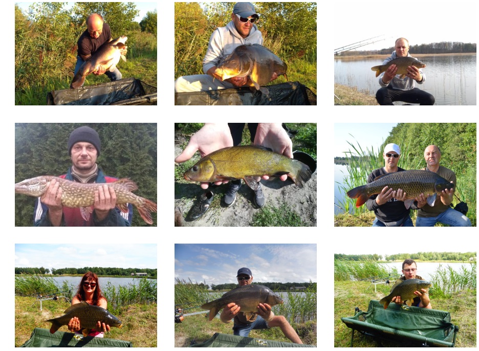 Łowisko Ludwinek - opinie na forum, wędkarstwo, jakie ryby