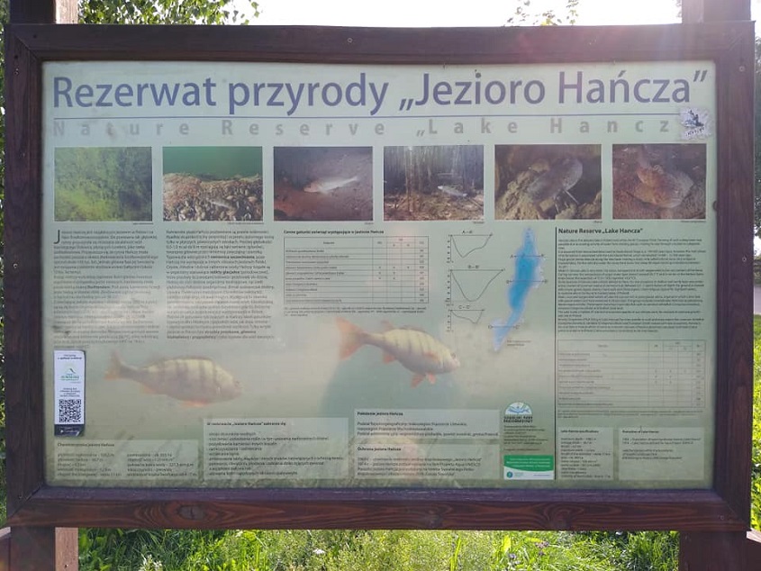 Jezioro Hańcza - opinie na forum, informacje, wędkarstwo, głębokość, na mapie, trasa, jakie ryby (1)