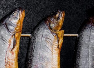 Ryba maślana - co to za ryba, opinie na forum, właściwości, czy jest smaczna i dobra, gdzie kupić, cena za kg (1)