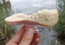 Jak zrobić zanętę na ryby z chleba?