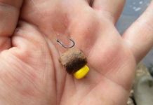 Jaki haczyk jest najlepszy do metody feederowej?